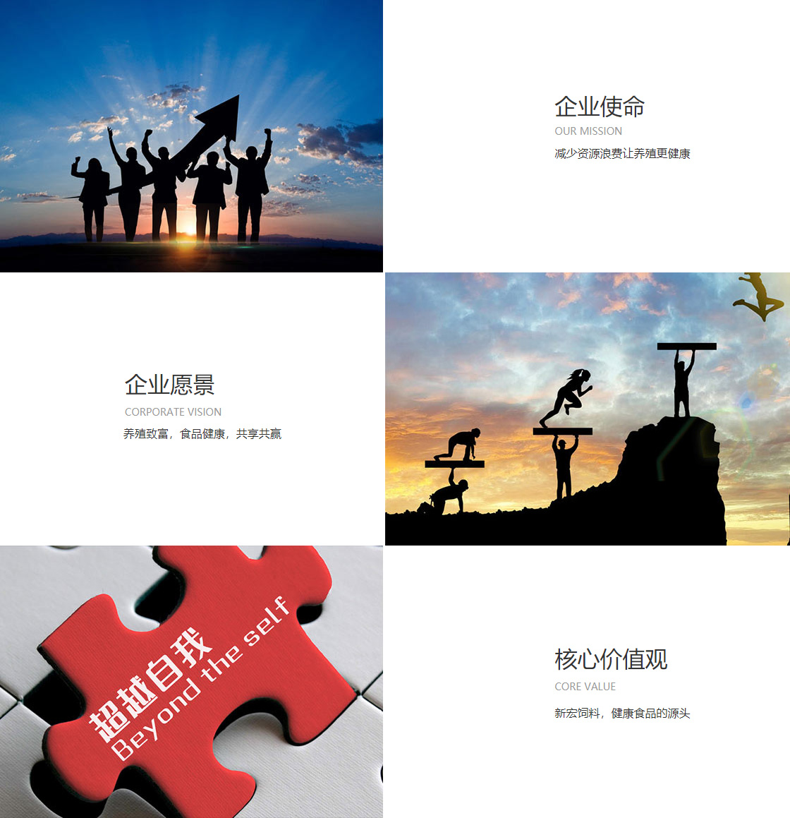 德赢登录官网(图1)